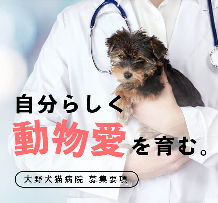 最新の設備導入病院の犬猫獣医師 | 株式会社大野犬猫病院